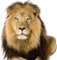 webicon