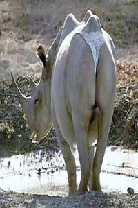 userpicture
