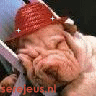 userpicture