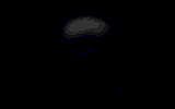 userpicture