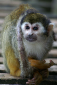 userpicture