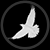 userpicture