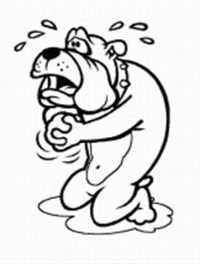 userpicture