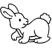 userpicture
