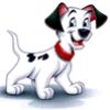 userpicture