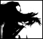 userpicture