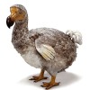 userpicture