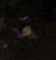 userpicture