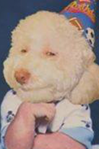 userpicture