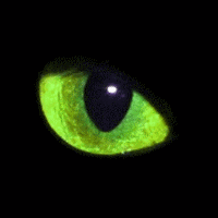 userpicture