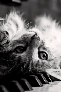 userpicture