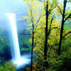 userpicture