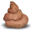 userpicture
