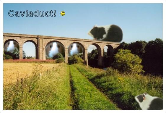 Caviaduct! door Murray :)