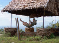 userpicture