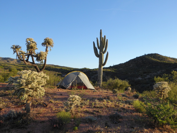 Kamperen in de Sonora Desert, Arizona, USA