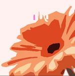 userpicture
